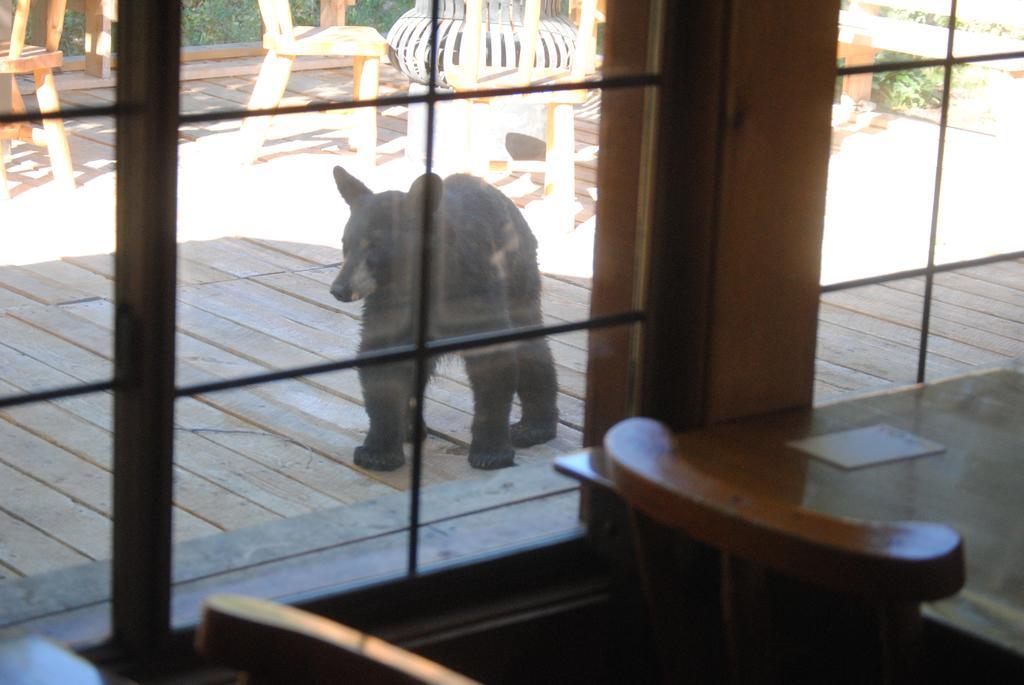 Medicine Bow Lodge Tenmile 외부 사진